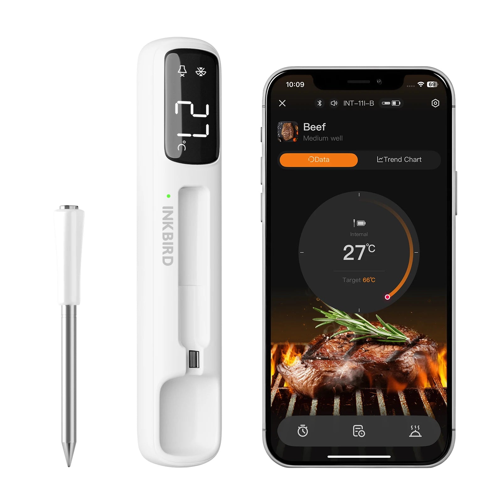 The Food Minister Wireless Meat Thermometer | Bluetooth Smart Probe