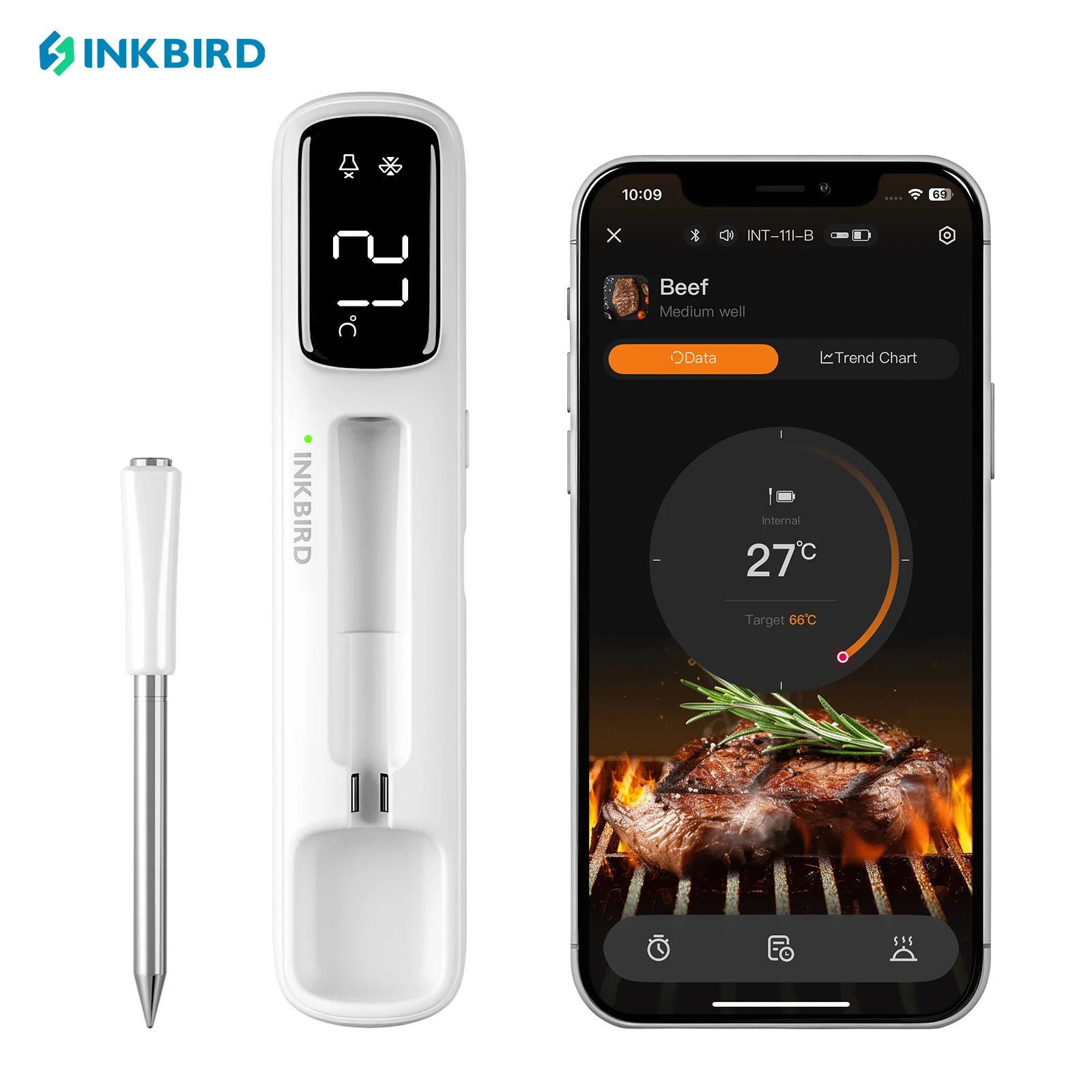The Food Minister Wireless Meat Thermometer | Bluetooth Smart Probe
